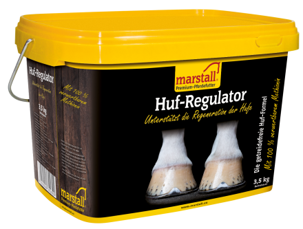 Marstall Huf Regulator